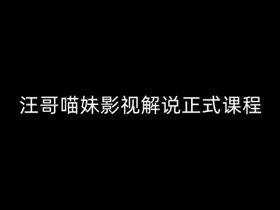 汪哥影视解说正式课程：剪映/PR教学/视解说剪辑5大黄金法则/全流程剪辑7把利器等等-Xiaobei云