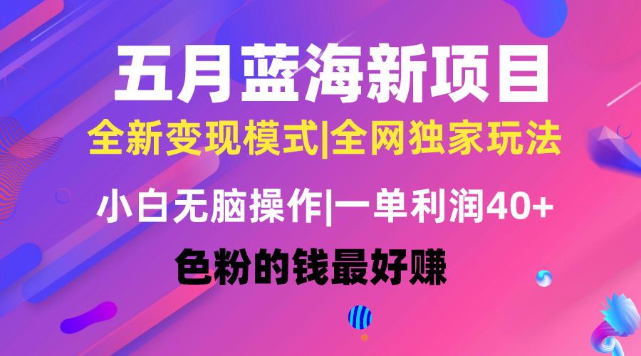 五月蓝海项目全新玩法，小白无脑操作，一天几分钟，矩阵操作，月入4万+-Xiaobei云