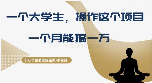 十万个富翁修炼宝典之4.一个大学生操作这个项目，一个月能搞一万-Xiaobei云