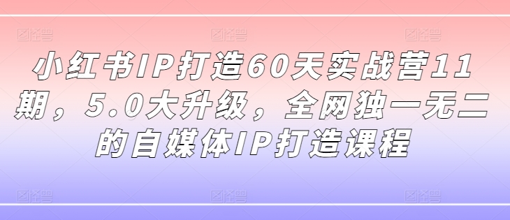 小红书IP打造60天实战营11期，5.0大升级，全网独一无二的自媒体IP打造课程-Xiaobei云