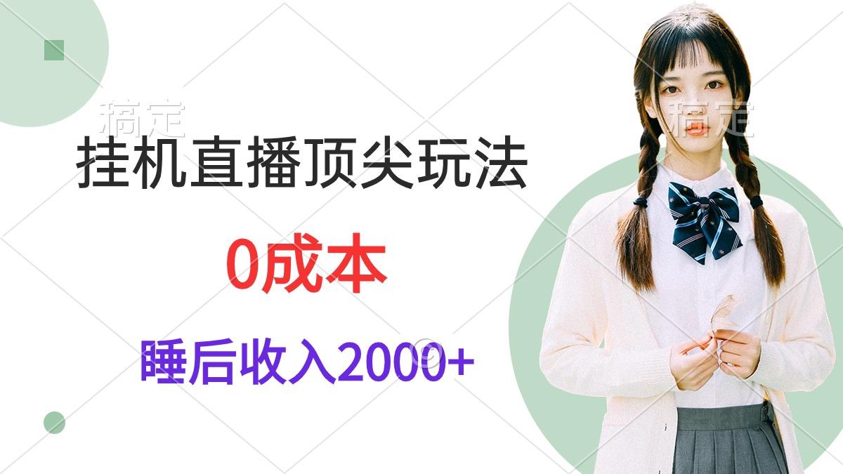 (9715期)挂机直播顶尖玩法，睡后日收入2000+、0成本，视频教学-Xiaobei云