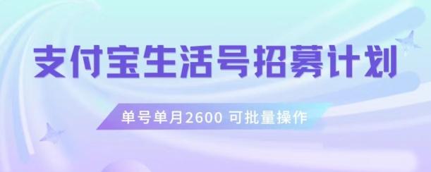 支付宝生活号作者招募计划，单号单月2600，可批量去做，工作室一人一个月轻松1w+【揭秘】-Xiaobei云