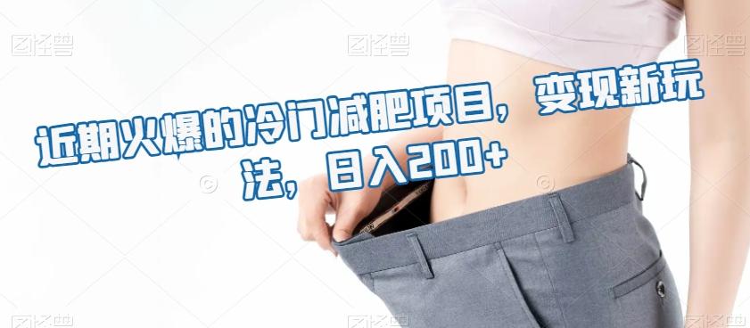近期火爆的冷门减肥项目，变现新玩法，日入200+-Xiaobei云