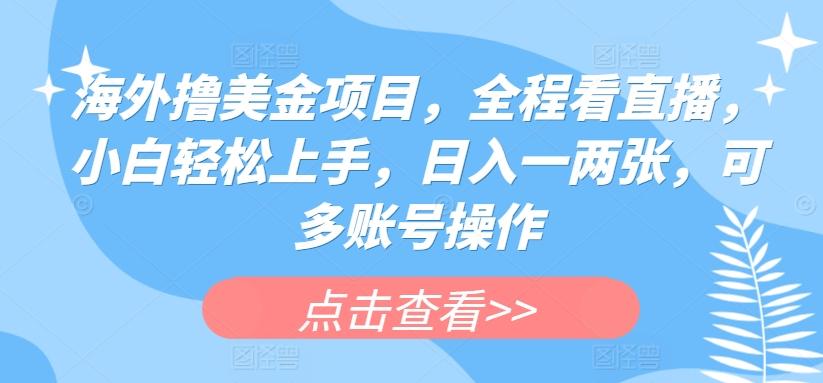 海外撸美金项目，全程看直播，小白轻松上手，日入一两张，可多账号操作【揭秘】-Xiaobei云