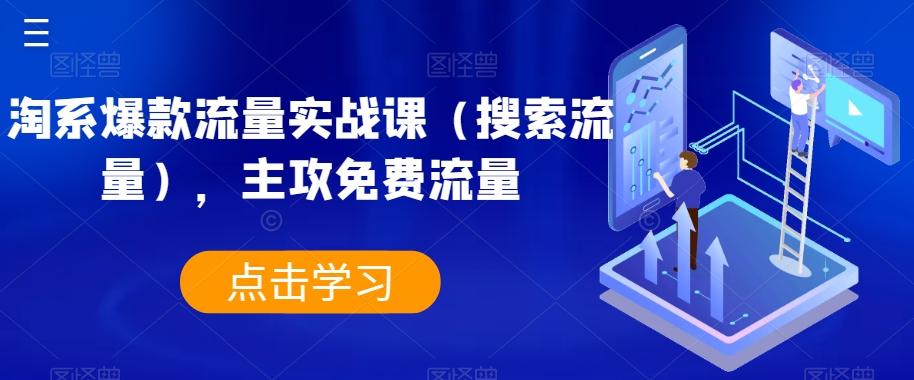 淘系爆款流量实战课（搜索流量），主攻免费流量-Xiaobei云