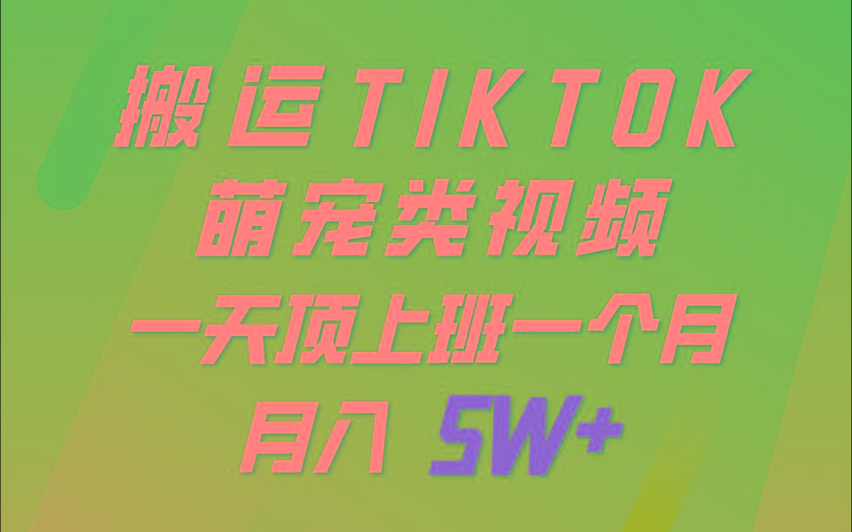 一键搬运TIKTOK萌宠类视频，一部手机即可操作，所有平台均可发布 轻松月入5W+-Xiaobei云