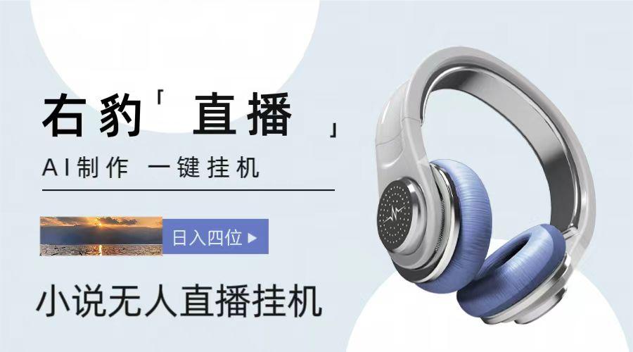 右豹小说无人直播挂机吸金项目，简单易行收益稳定， 月入1000+-Xiaobei云