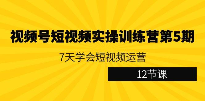 视频号短视频实操训练营第5期：7天学会短视频运营(12节课)-Xiaobei云