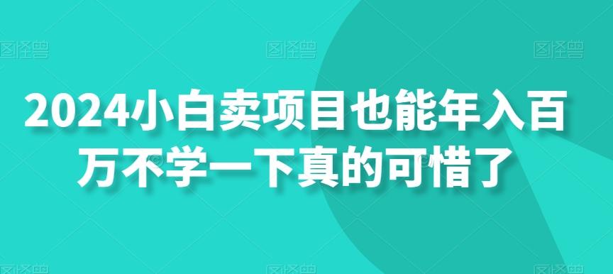 2024小白卖项目也能年入百万不学一下真的可惜了-Xiaobei云