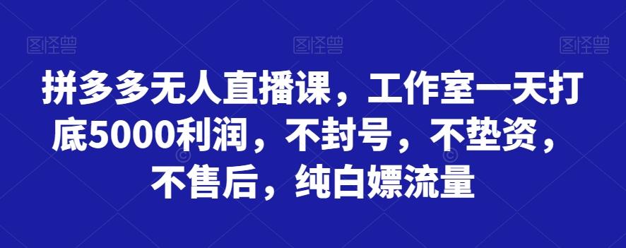 拼多多无人直播课，工作室一天打底5000利润，不封号，不垫资，不售后，纯白嫖流量-Xiaobei云