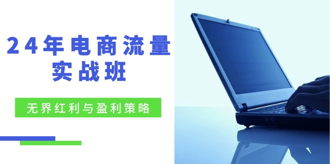 24年电商流量实战班：无界 红利与盈利策略，终极提升/关键词优化/精准…-Xiaobei云