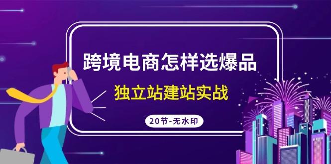 (9369期)跨境电商怎样选爆品，独立站建站实战(20节高清无水印课)-Xiaobei云
