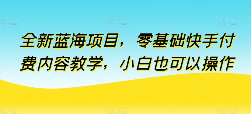 全新蓝海项目，零基础快手付费内容教学，小白也可以操作【揭秘】-Xiaobei云