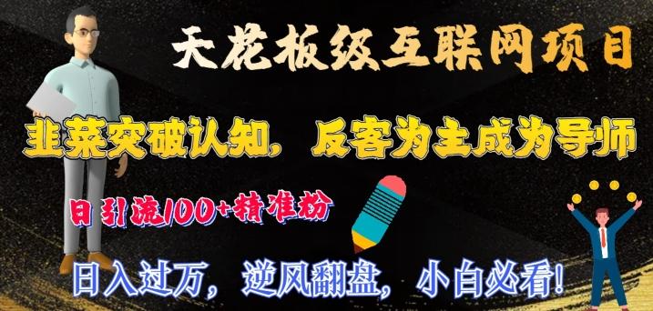 天花板级互联网项目，韭菜突破认知，反客为主成为导师，日引流100+精准粉-Xiaobei云