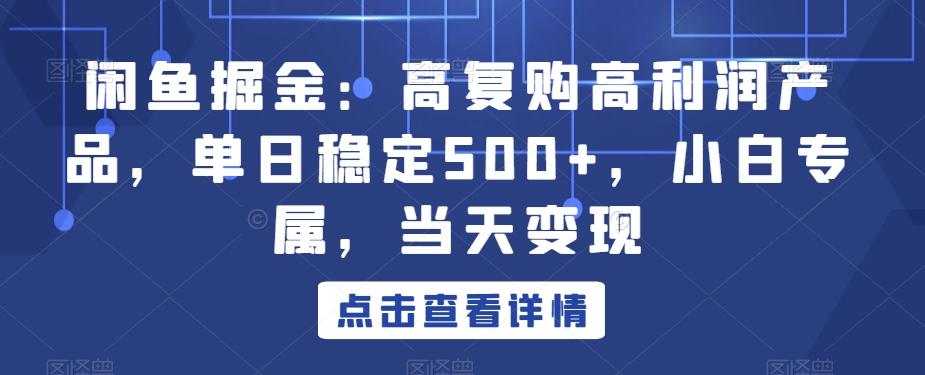 闲鱼掘金：高复购高利润产品，单日稳定500+，小白专属，当天变现-Xiaobei云