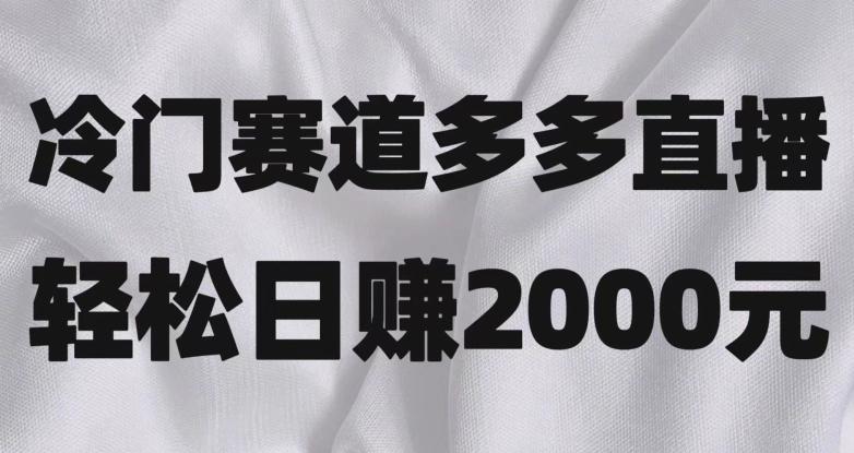冷门赛道拼多多直播，简单念稿子，日收益2000＋【揭秘】-Xiaobei云