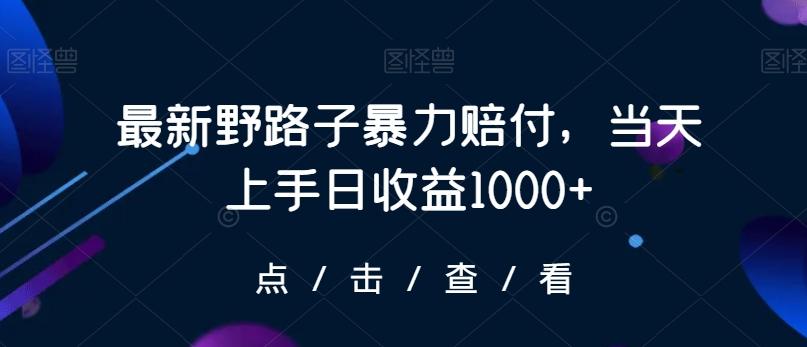 最新野路子暴力赔付，当天上手日收益1000+【仅揭秘】-Xiaobei云