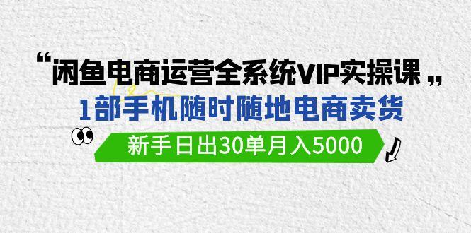 (9547期)闲鱼电商运营全系统VIP实战课，1部手机随时随地卖货，新手日出30单月入5000-Xiaobei云
