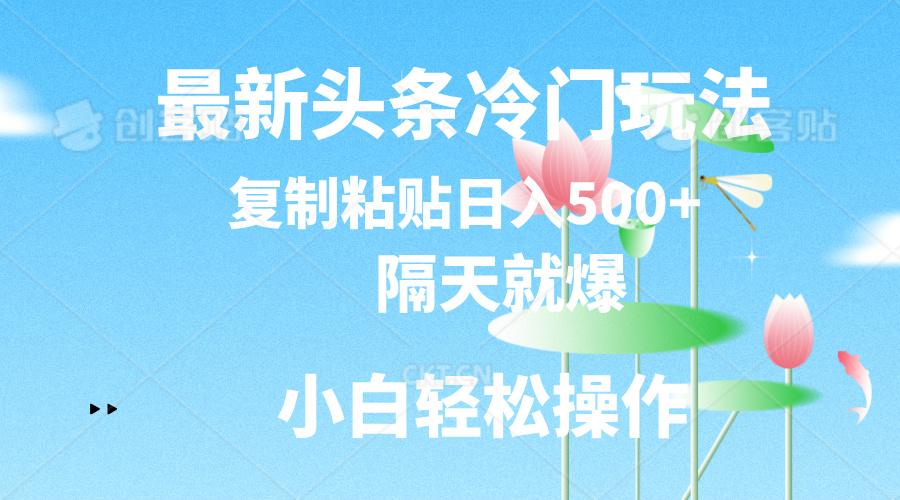 最新头条冷门玩法，隔天就爆，复制粘贴日入500+-Xiaobei云