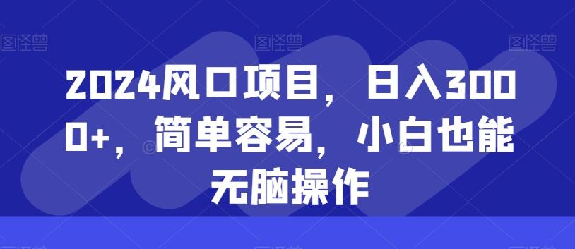 2024风口项目，日入3000+，简单容易，小白也能无脑操作-Xiaobei云