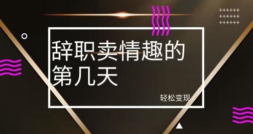 冷门赛道，辞职卖情趣的第几天，超暴力项目-Xiaobei云