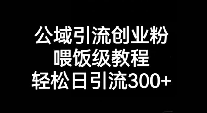 公域引流创业粉，喂饭级教程，轻松日引流300+【揭秘】-Xiaobei云