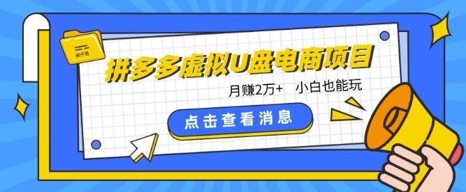 拼多多虚拟U盘电商红利项目：月赚2万+，新手小白也能玩-Xiaobei云
