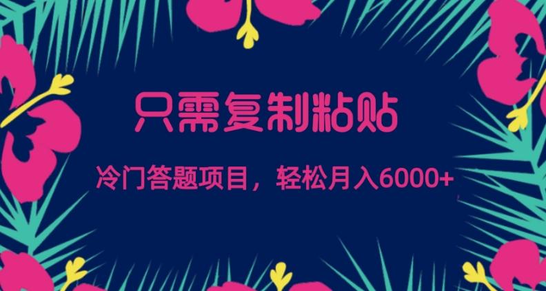 只需复制粘贴，冷门答题项目，轻松月入6000-Xiaobei云