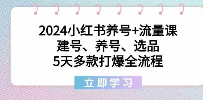 2024小红书养号+流量课:建号、养号、选品,5天多款打爆全流程-Xiaobei云