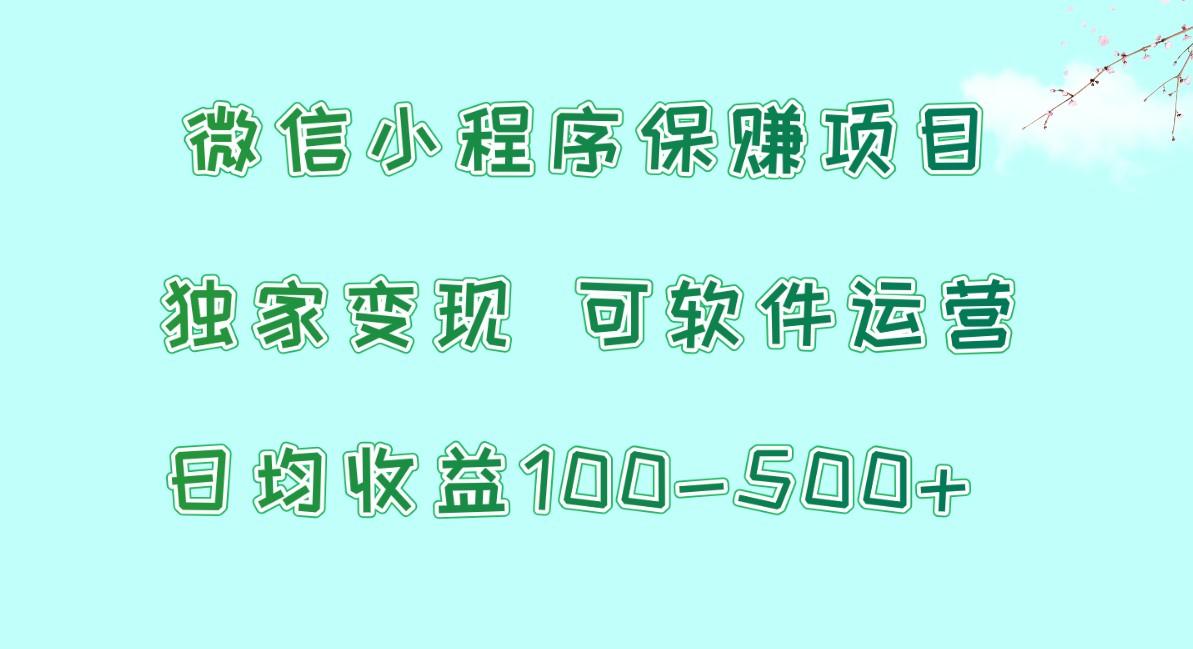 微信小程序保赚项目，日均收益100~500+，独家变现，可软件运营-Xiaobei云