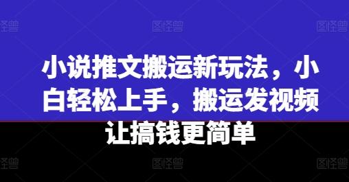 小说推文搬运新玩法，小白轻松上手，搬运发视频让搞钱更简单-Xiaobei云