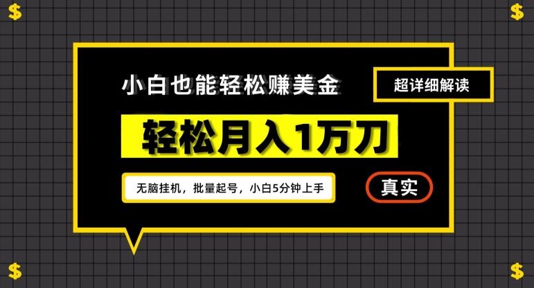 谷歌看广告撸美金2.0，无脑挂机，多号操作，月入1万刀【揭秘】-Xiaobei云