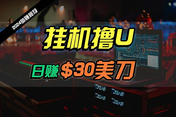 (10013期)日赚30美刀，2024最新海外挂机撸U内部项目，全程无人值守，可批量放大-Xiaobei云