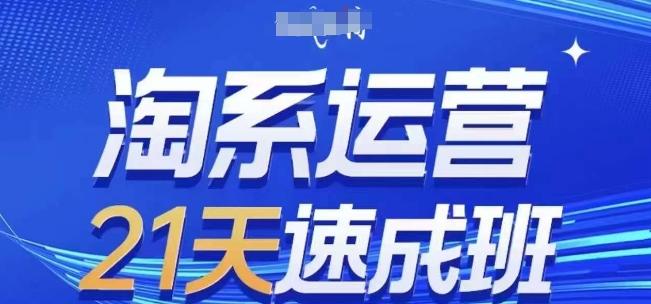 淘系运营21天速成班(更新24年6月)，0基础轻松搞定淘系运营，不做假把式-Xiaobei云