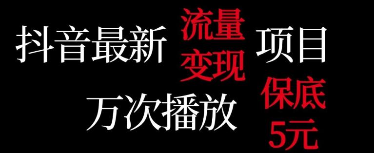抖音流量变现，万次播放保底5元，额外收入-Xiaobei云