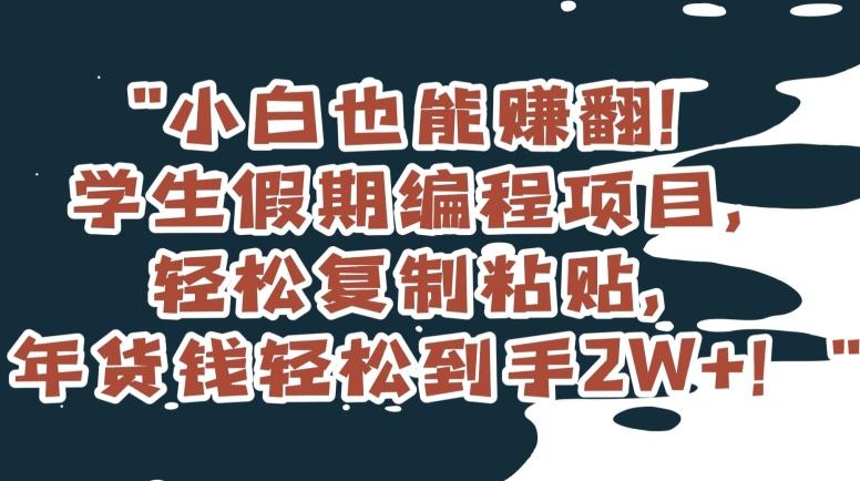 小白也能赚翻！学生假期编程项目，轻松复制粘贴，年货钱轻松到手2W+【揭秘】-Xiaobei云