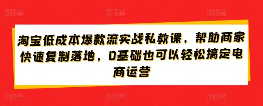 淘宝低成本爆款流实战私教课，帮助商家快速复制落地，0基础也可以轻松搞定电商运营-Xiaobei云