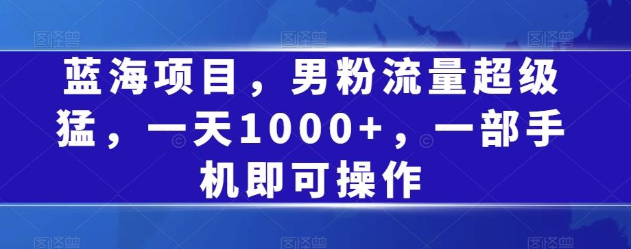 蓝海项目，男粉流量超级猛，一天1000+，一部手机即可操作【揭秘】-Xiaobei云