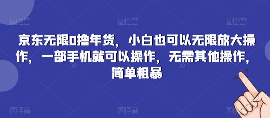 京东无限0撸年货，小白也可以无限放大操作，一部手机就可以操作，无需其他操作，简单粗暴-Xiaobei云