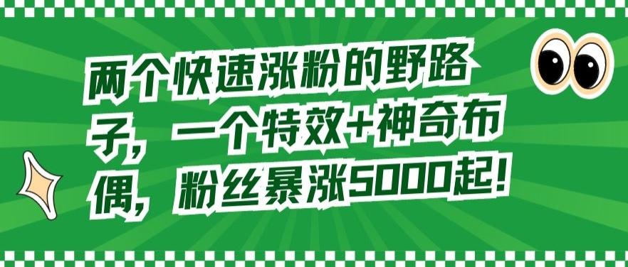 两个快速涨粉的野路子，一个特效+神奇布偶，粉丝暴涨5000起【揭秘】-Xiaobei云