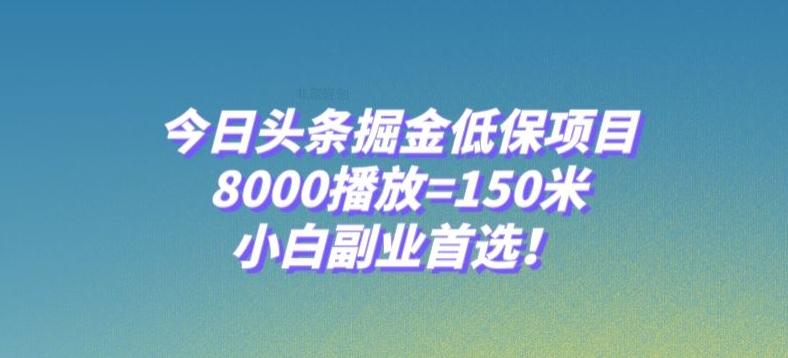 今日头条掘金低保项目，8000播放=150米，小白副业首选【揭秘】-Xiaobei云