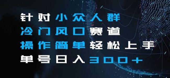针对小众人群冷门风口赛道，操作简单轻松上手单号日入300+-Xiaobei云