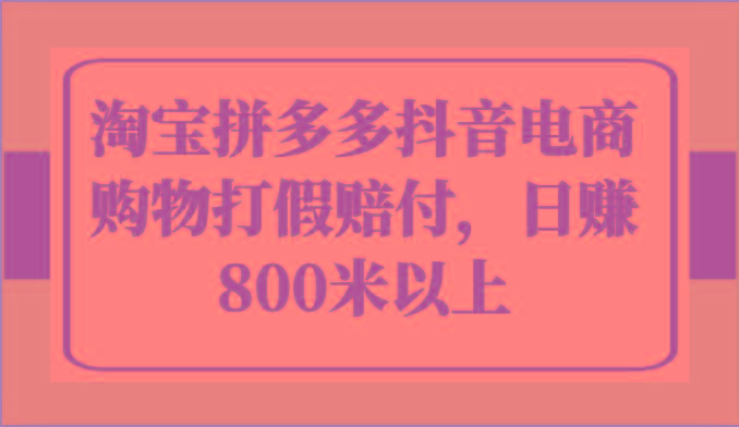 淘宝拼多多抖音电商购物打假赔付，日赚800米以上-Xiaobei云