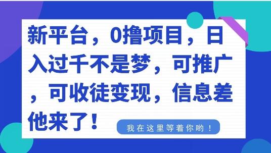 不要再花冤枉钱了，0撸项目，每天坚持，稳定1000+-Xiaobei云