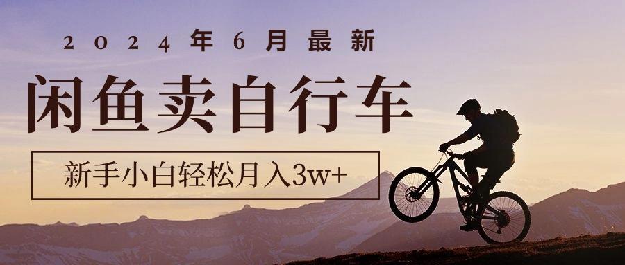 2024年6月最新闲鱼卖自行车，新手小白轻松月入3w+项目-Xiaobei云