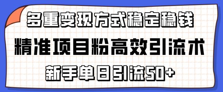 精准项目粉高效引流术，新手单日引流50+，多重变现方式稳定赚钱【揭秘】-Xiaobei云