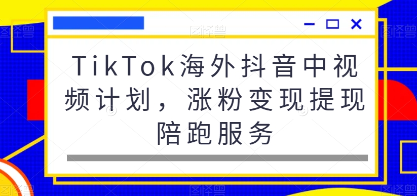 TikTok海外抖音中视频计划，涨粉变现提现陪跑服务-Xiaobei云
