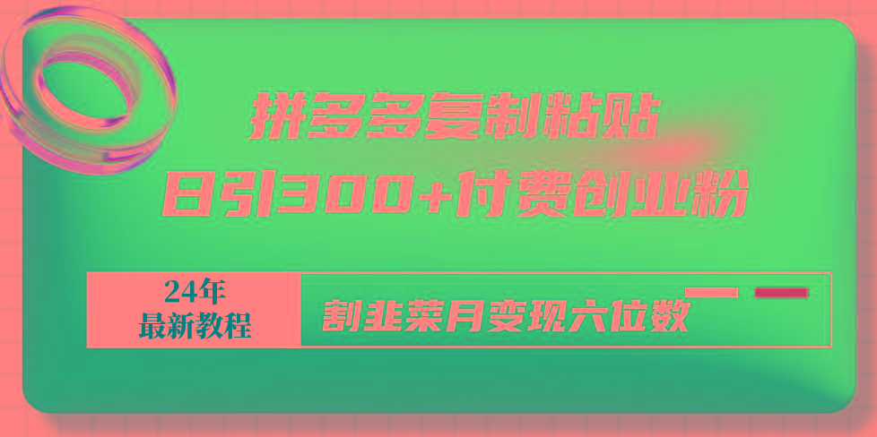 拼多多复制粘贴日引300+付费创业粉，割韭菜月变现六位数最新教程！-Xiaobei云