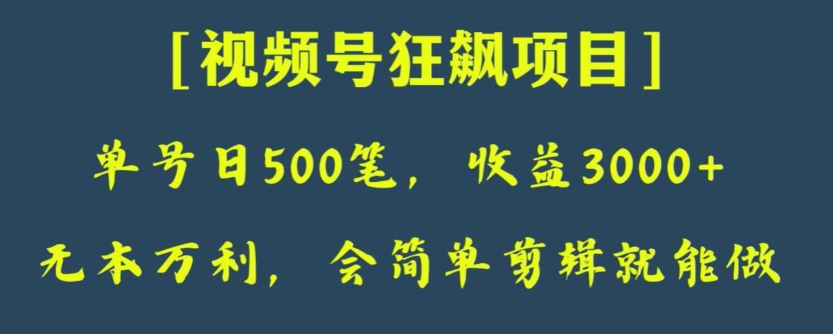 日收款500笔，纯利润3000+，视频号狂飙项目，会简单剪辑就能做【揭秘】-Xiaobei云