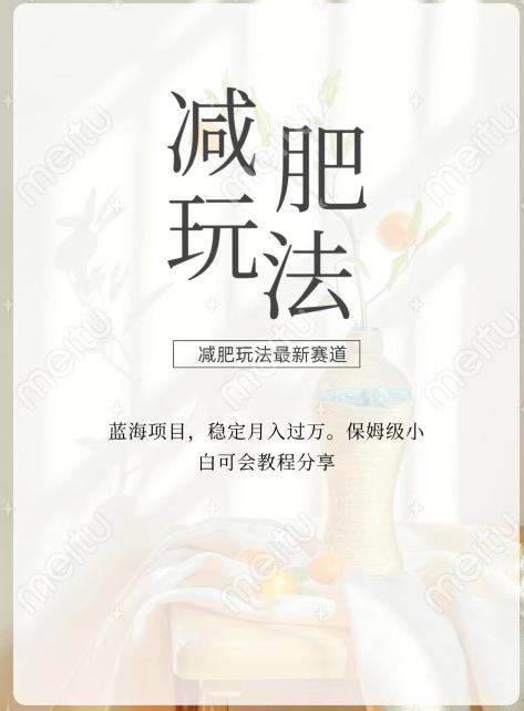减肥流量主新玩法，轻松月入1W，可矩阵操作收入翻倍-Xiaobei云